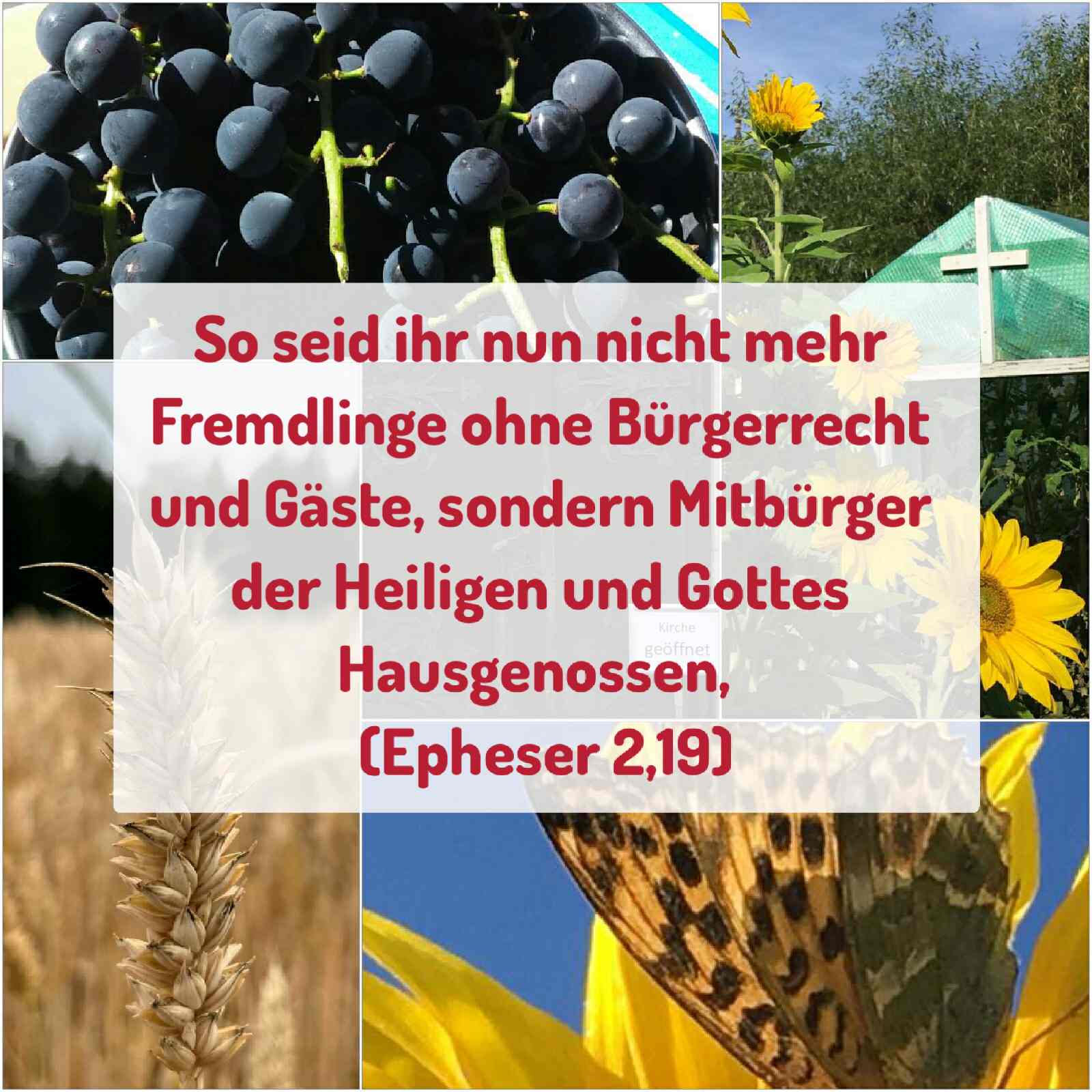 Wochenspruch zum 7. Sonntag nach Trinitatis