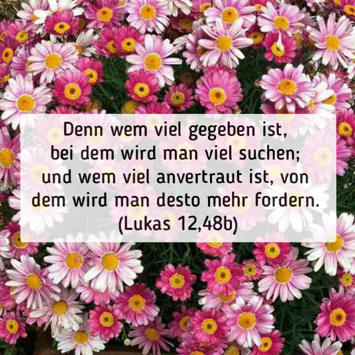 Wochenspruch zum 9. Sonntag nach Trinitatis