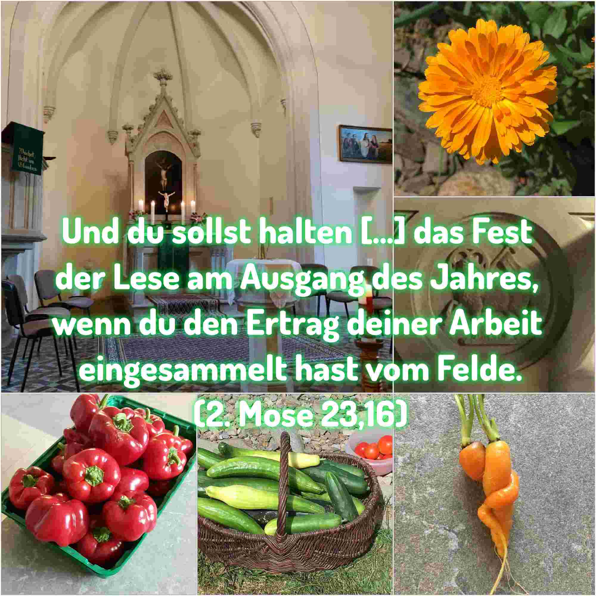 Bibelvers zum Eingang des Erntedankfestes